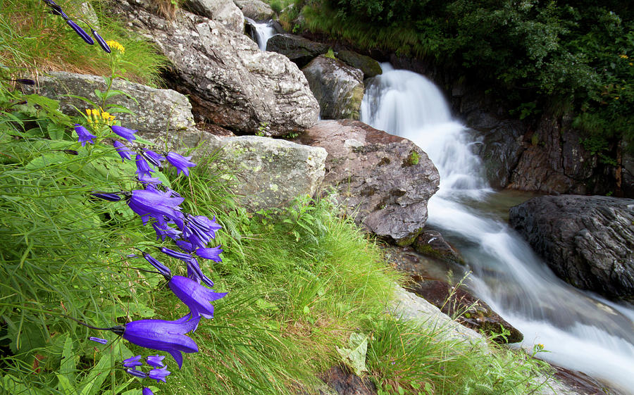 Waterfalls and Bluebells Photograph by Mircea Costina Photography
