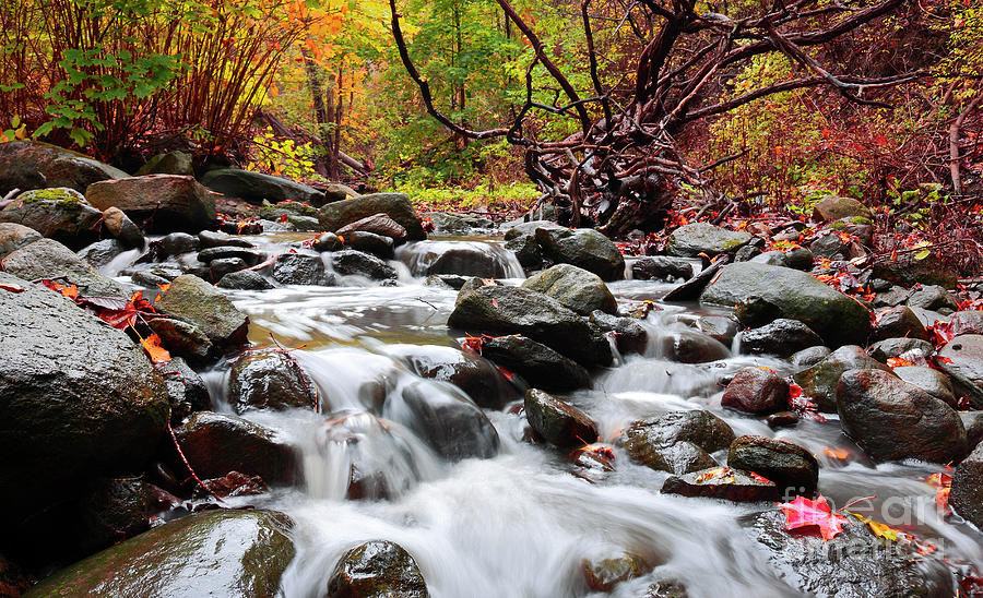 Waterfalls in Autumn Forest Photograph by Charline Xia