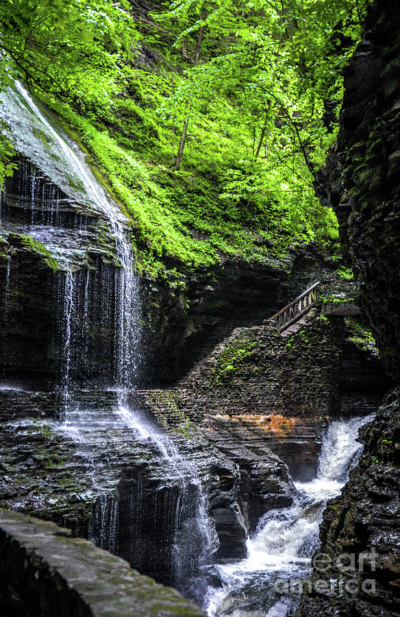 Waterfalls In Watkins Glen Photograph