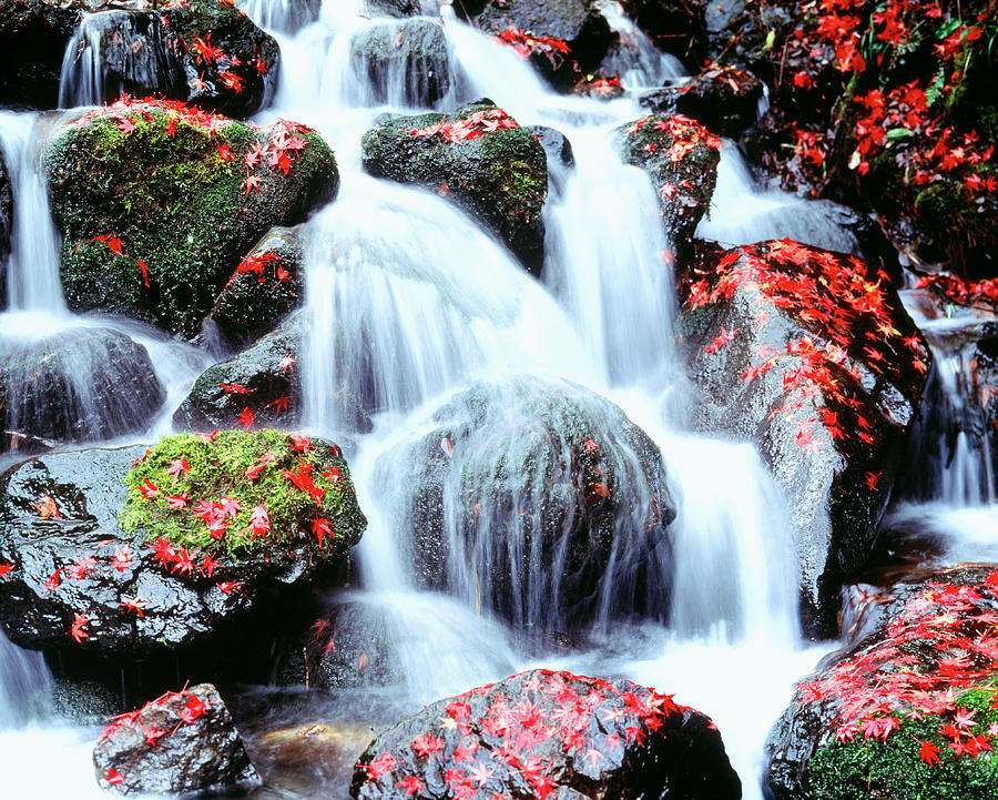 Waterfalls Kyoto Japan Photograph by Panoramic Images