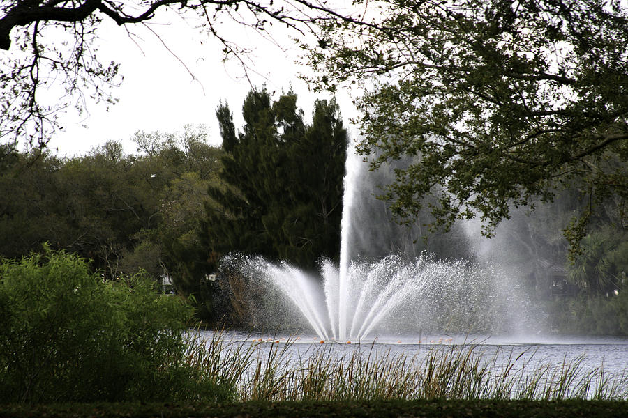 Water on the pond Photograph by Mayra Pau - Fine Art America