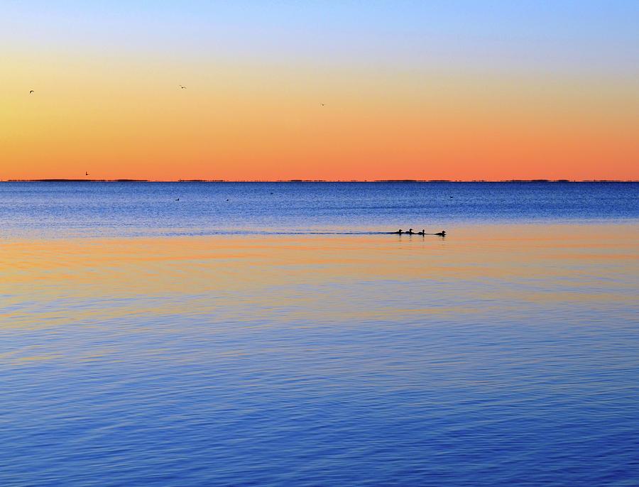 Waterfowl Morning Swim  Photograph by Lyle Crump