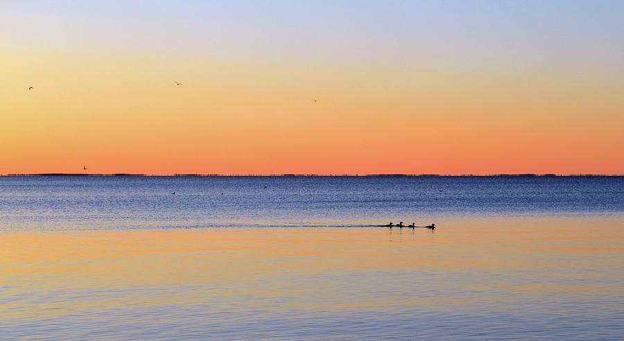Waterfowl Morning Swim Two  Photograph by Lyle Crump