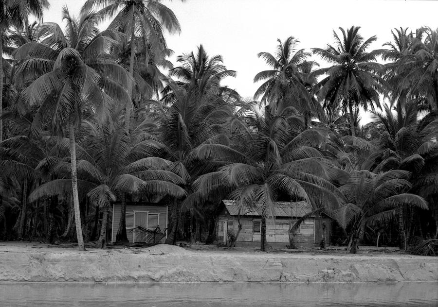 Black And White Photograph - Waterfront Homes In The Palm Trees  by Lyle Crump