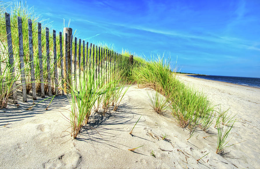 Waterfront Sand Dune And Grass Photograph by Gary Slawsky