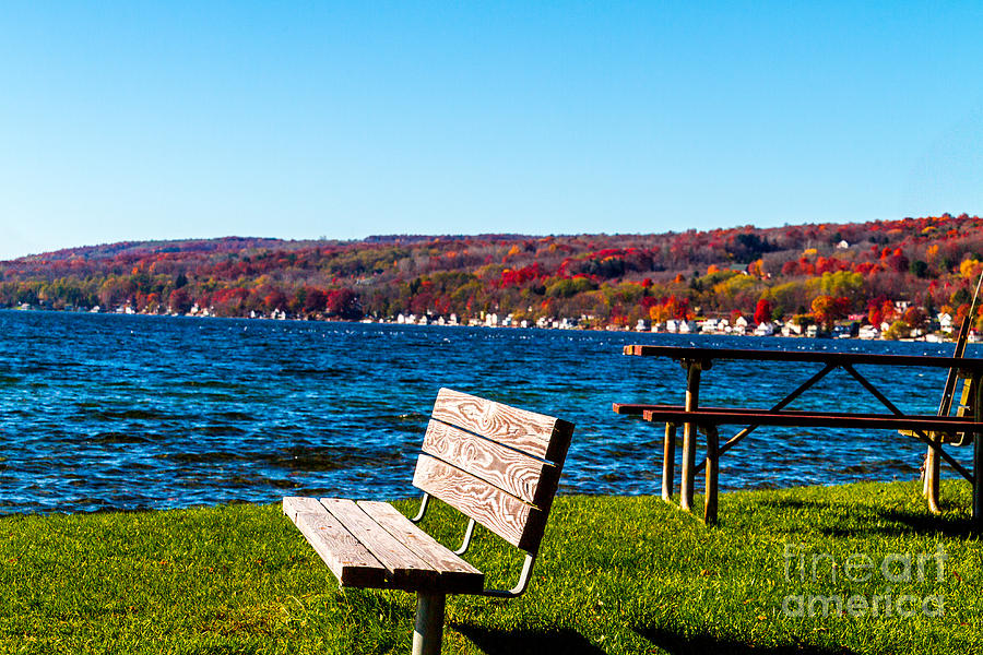 Waterfront Seating Photograph by William Norton