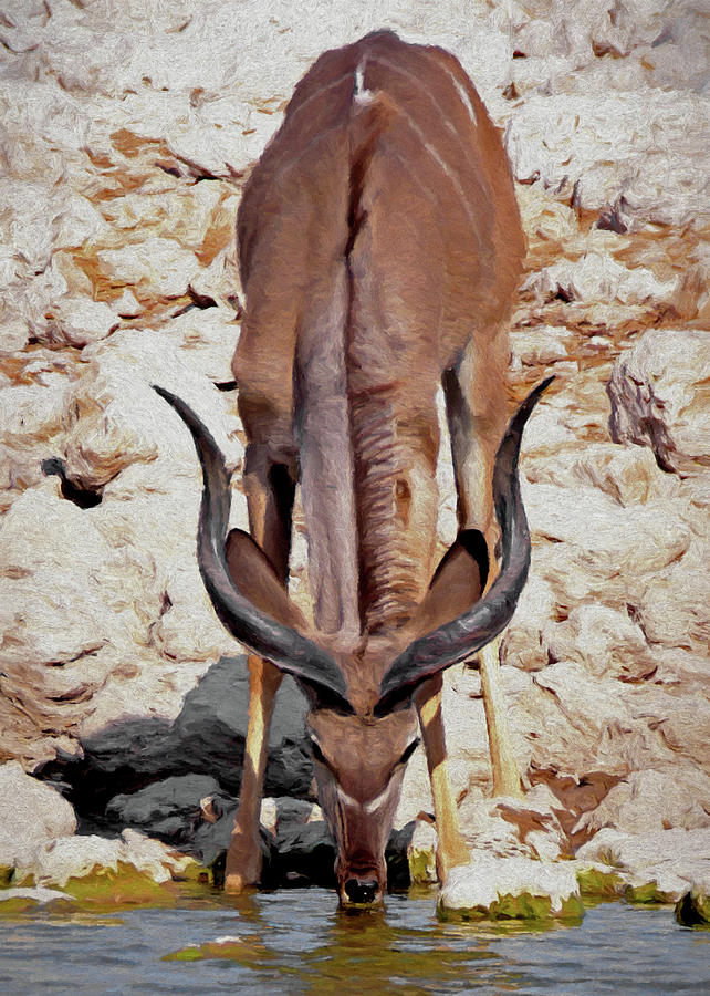 Waterhole Kudu Digital Art by Ernest Echols