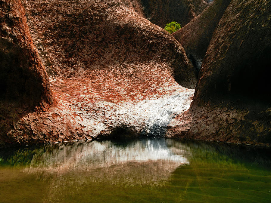 Waterhole, Uluru - Central Australia Photograph by Lexa Harpell