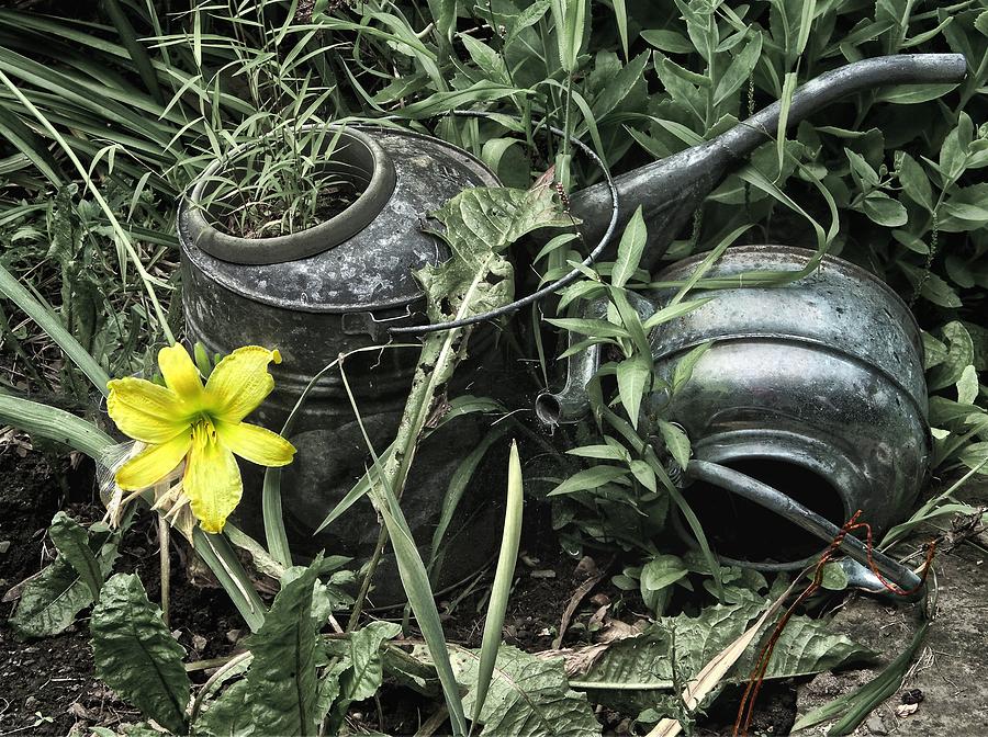 Watering Can And Teapot Photograph