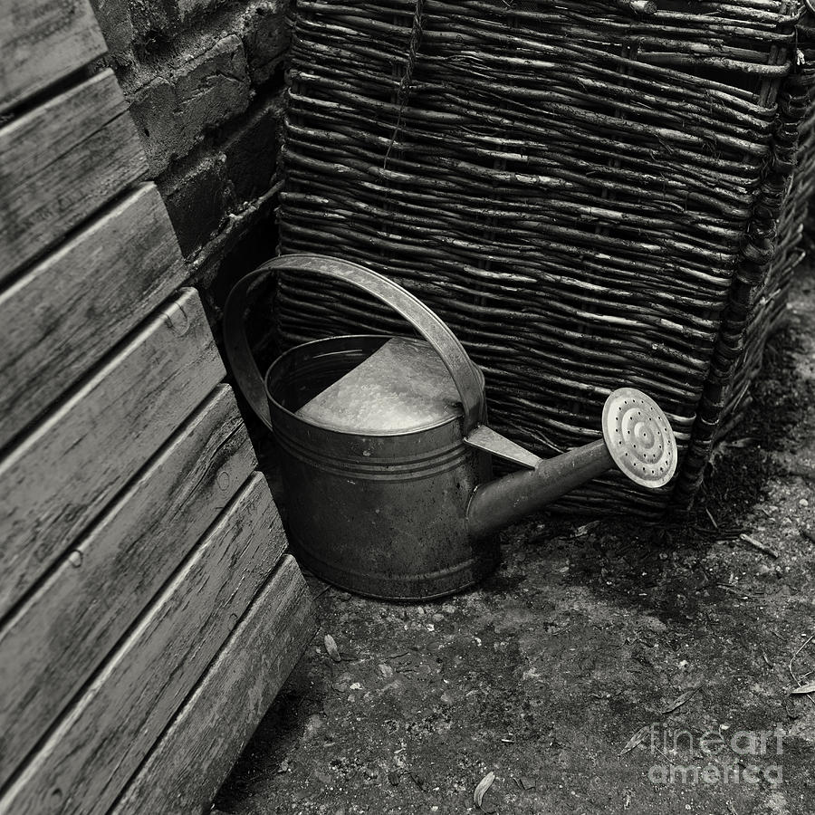 Watering can Photograph by Clayton Bastiani