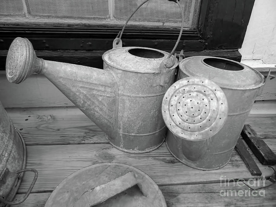 Watering Cans and Tubs B  W Photograph by D Hackett