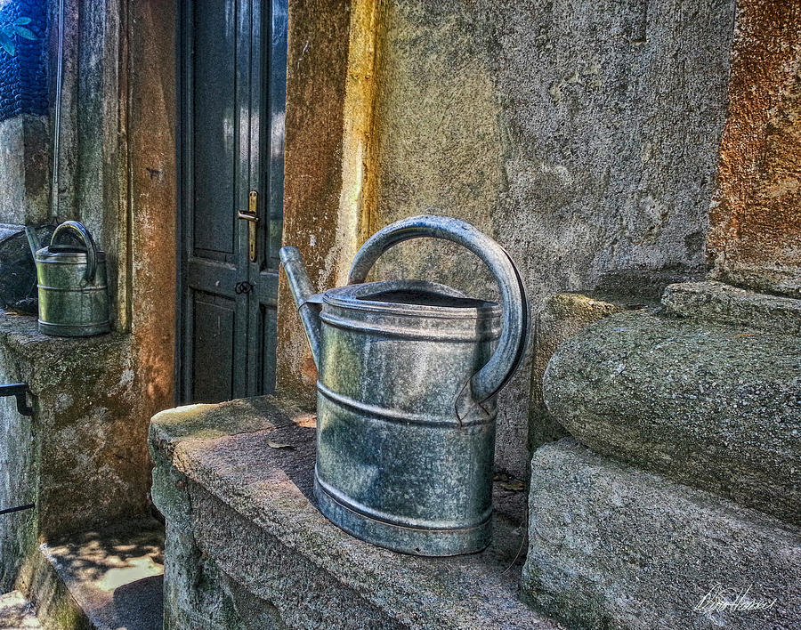 Watering Cans Photograph by Diana Haronis