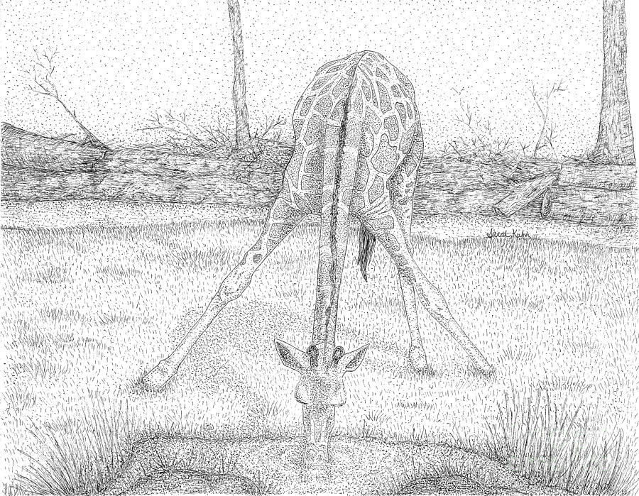 Watering Hole Drawing by Sarah Kuhn