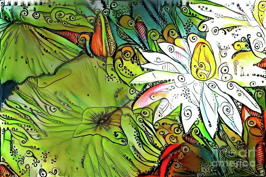 Waterlilies 12 Digital Art by Amy Cicconi