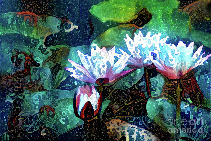 Waterlilies 18 Digital Art by Amy Cicconi