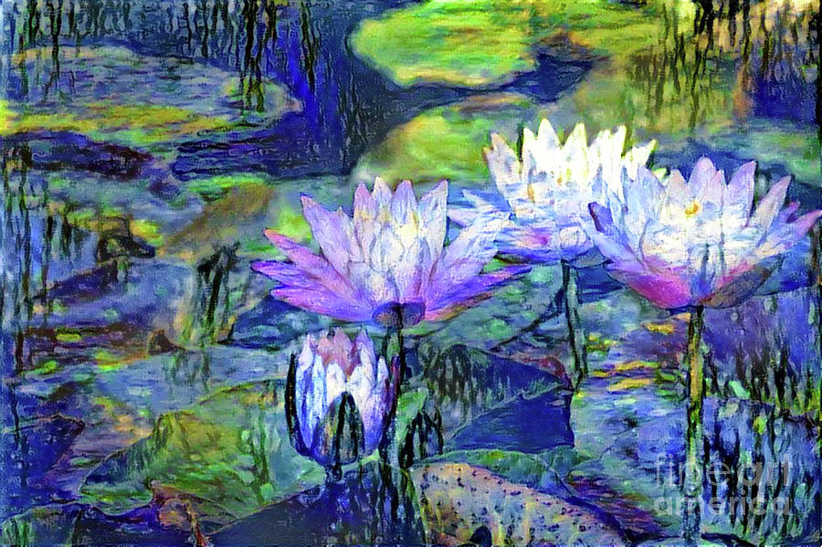 Waterlilies 6 Digital Art by Amy Cicconi