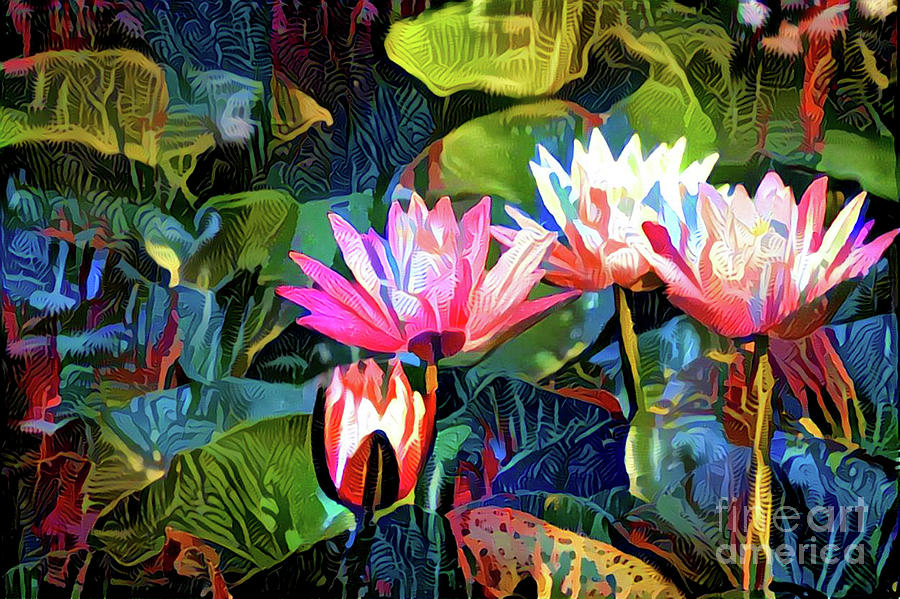 Waterlilies 8 Digital Art by Amy Cicconi