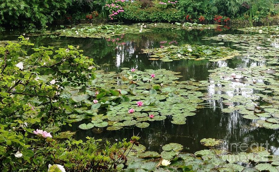 Waterlilies at Monets Gardens Giverny Photograph by Therese Alcorn