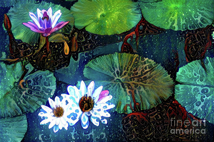 Waterlillies 15 Digital Art by Amy Cicconi