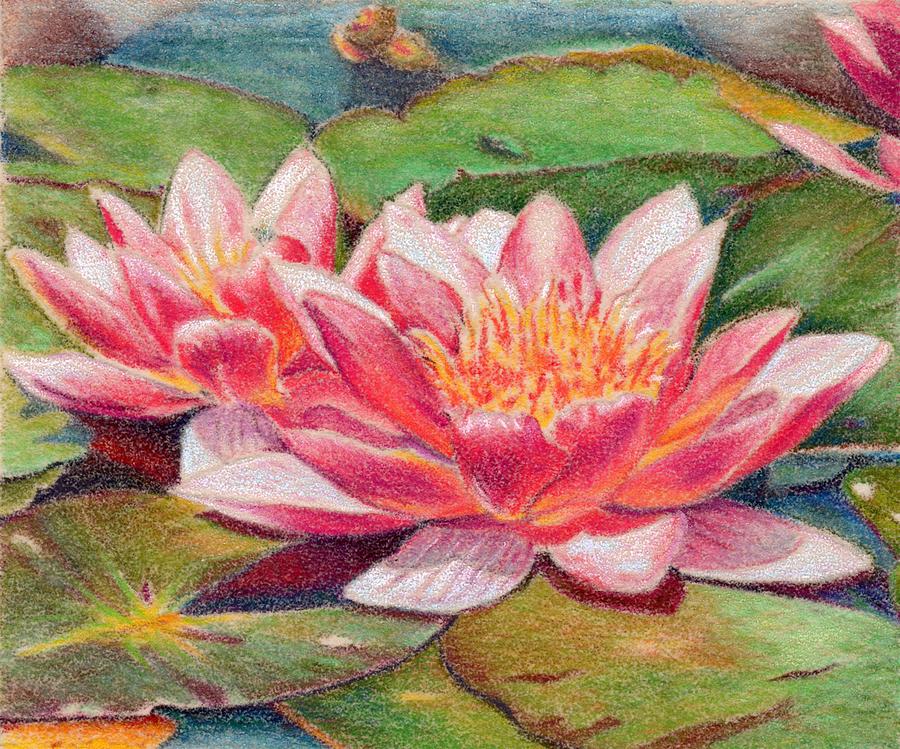 Waterlillies Painting by Robynne Hardison - Fine Art America