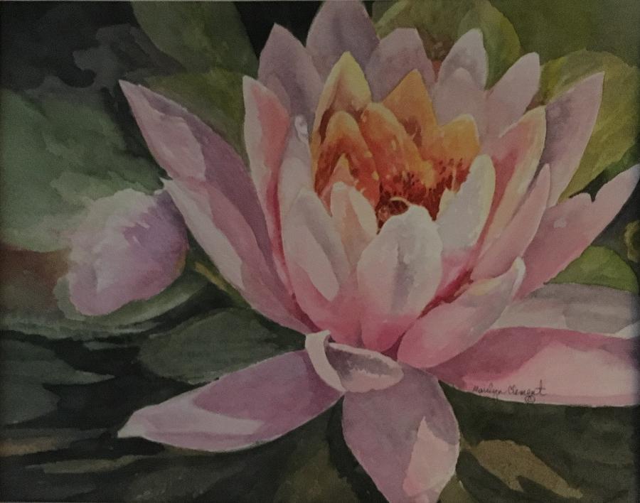  Water Lily Painting by Marilyn  Clement