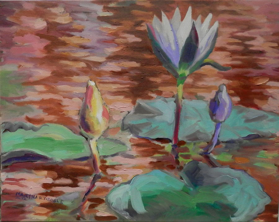 Waterlily Blossom Gibbs Garden Painting by Martha Tisdale