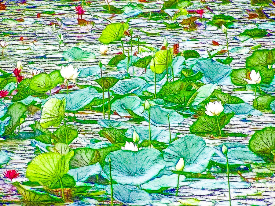 Waterlily blossoms on the protected forest lake Painting by Jeelan Clark