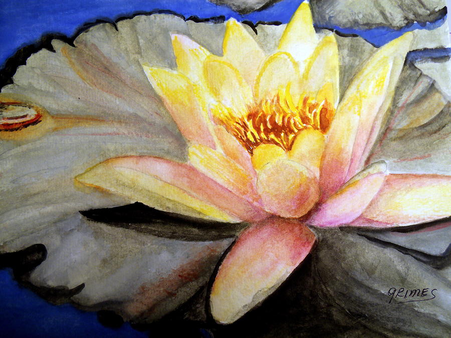 Waterlily  Painting by Carol Grimes