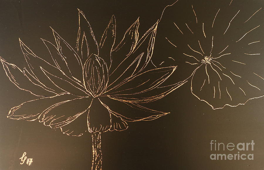 Waterlily Drawing by Christiane Schulze Art And Photography