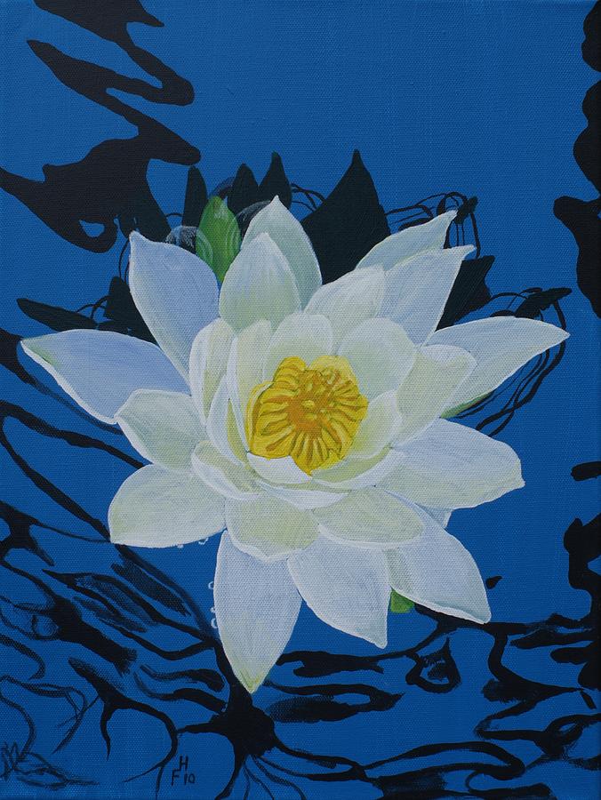Waterlily by Frank Hamilton Waterlily by Frank Hamilton