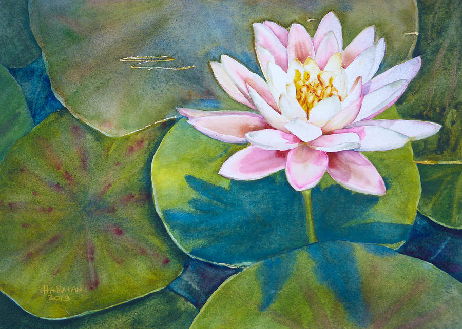 Waterlily Painting by Melanie Harman - Fine Art America