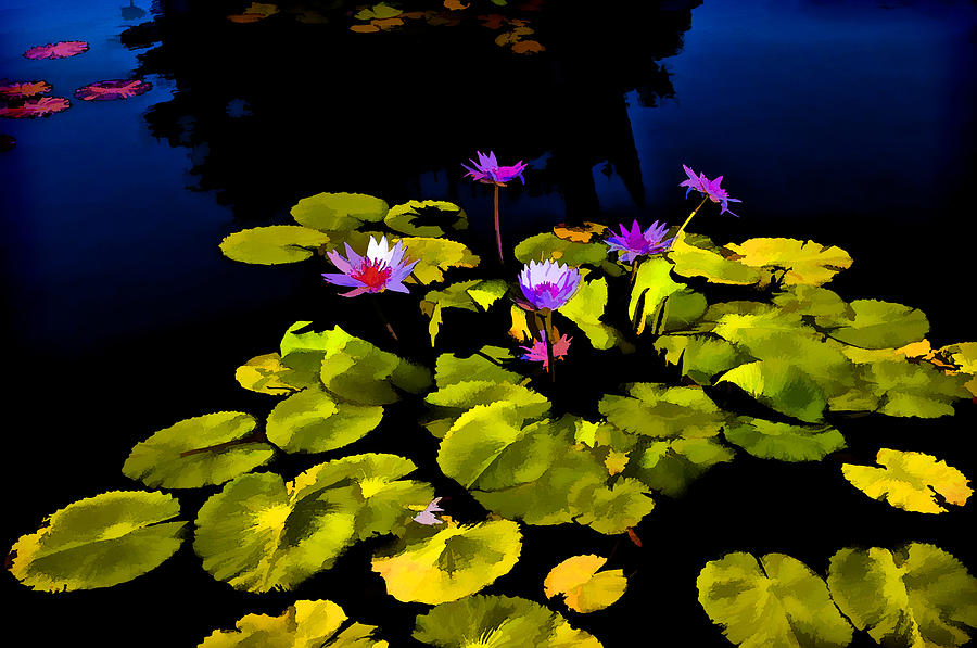 Waterlily Study 1 Photograph by Frances Ann Hattier