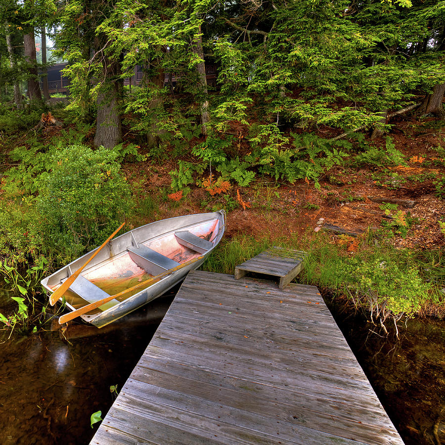 Boat Photograph - Waterlogged on West Lake by David Patterson