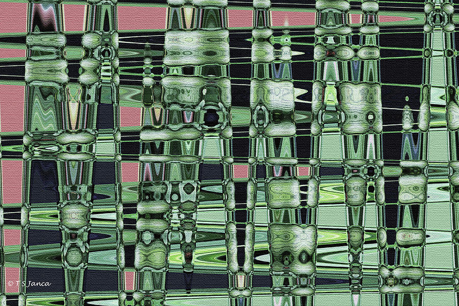 Watermelon Abstract Digital Art by Tom Janca