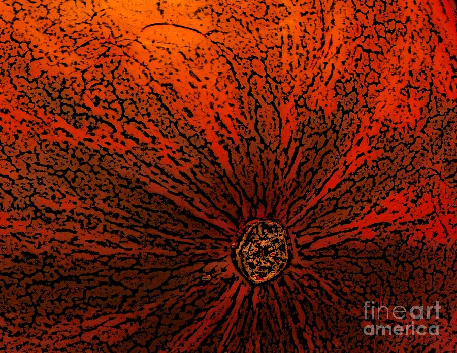 Abstract Photograph - Watermelon Bloom by Terri Thompson