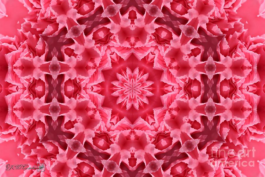 Wine Digital Art - Watermelon Carnation Ruffles Mandala by J McCombie