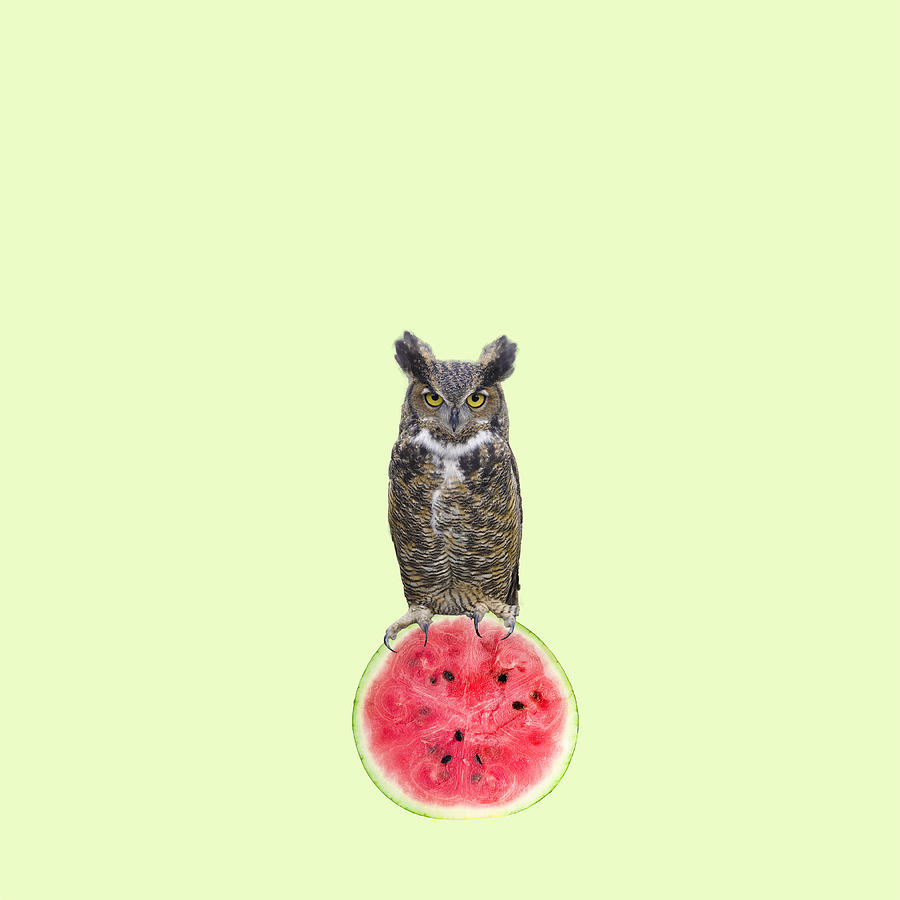 Minimal Photograph - Watermelon by Caterina Theoharidou