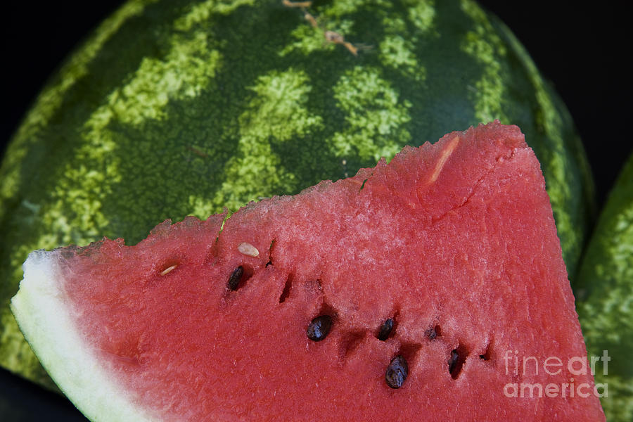 Watermelon Slice Photograph by Inga Spence