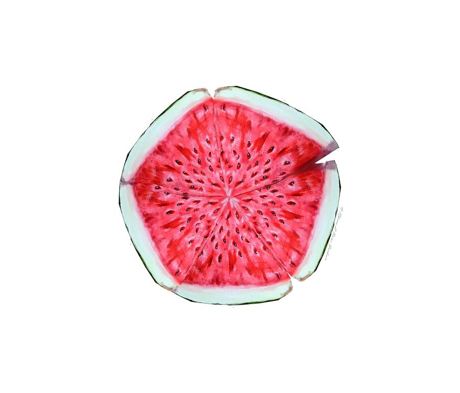 Watermelon Star Wheel Painting by Shana Rowe Jackson