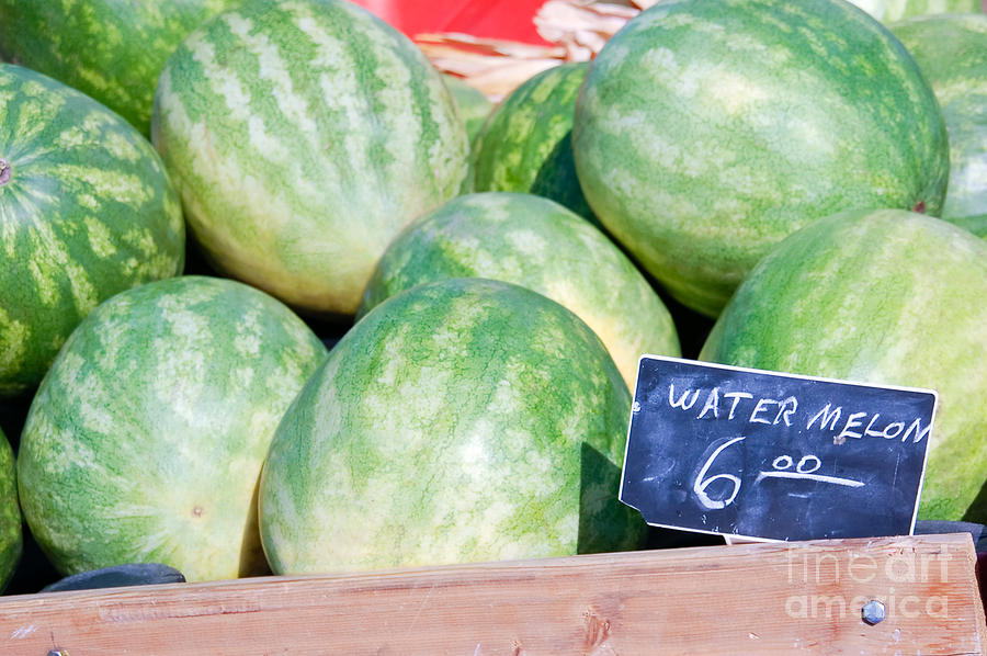 Watermelon Photograph - Watermelons with a Price Sign by Paul Velgos