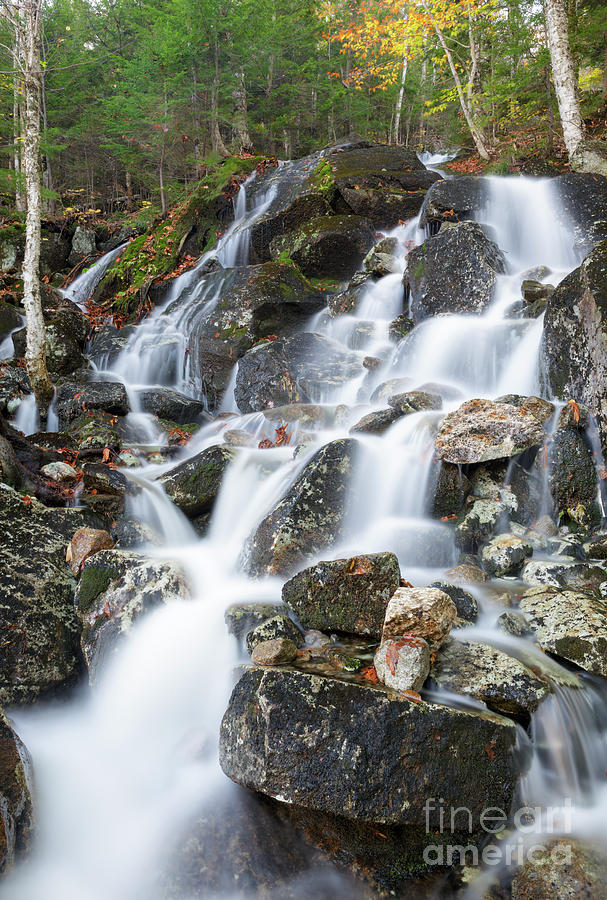 Nature Photograph - Waternomee Brook Cascades - White Mountains, New Hampshire by Erin Paul Donovan