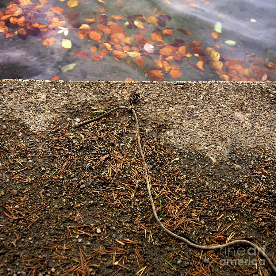 Fall Photograph - Waters edge by Bernard Jaubert