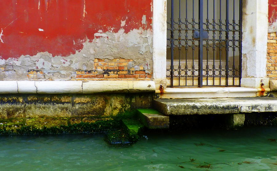 Waters Edge in Venice Photograph by Carla Parris