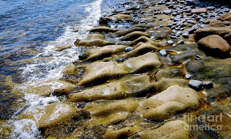 Rocks on Waters Edge Photograph by Lexa Harpell