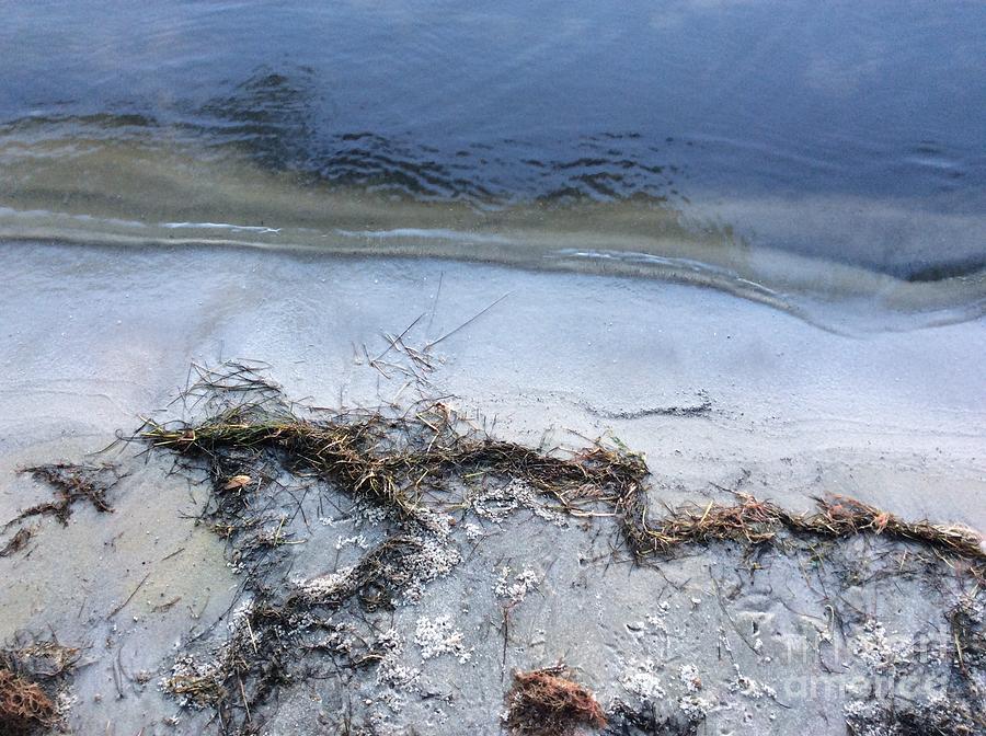 Abstract Photograph - Waters edge with seaweed by Donna Spencer