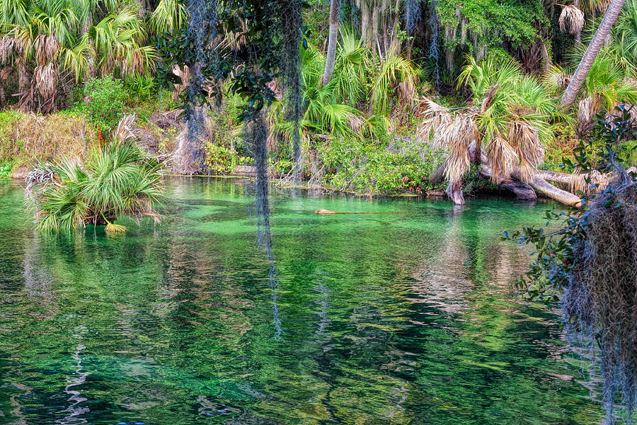 Waters of Blue Springs Photograph by John M Bailey | Fine Art America