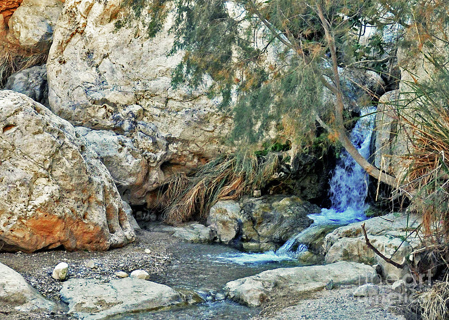 Waters Of Ein Gedi Photograph by Lydia Holly