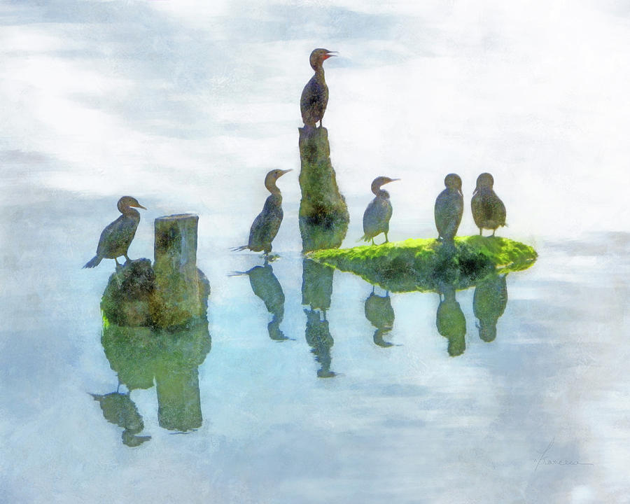 WaterSky Birds Digital Art by Frances Miller
