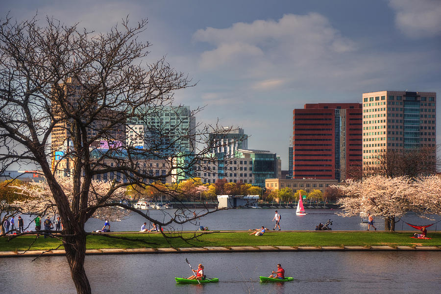 Watersports on the Charles River-Boston Photograph by Joann Vitali