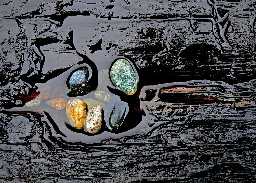 Water,stones And Wood Photograph by Richard George